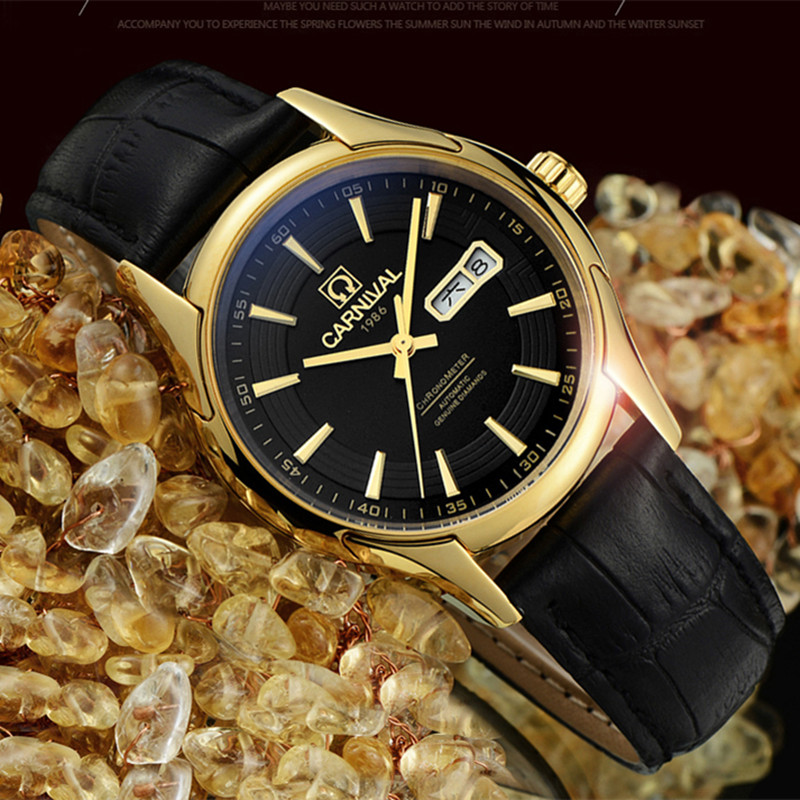 Carnival Brand Luxury Watches  - огляд і ціна Luxury Watch Winder