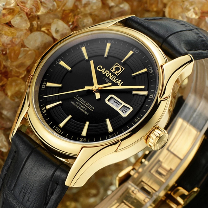 Carnival Brand Luxury Watches  - огляд і ціна Luxury Watch Winder