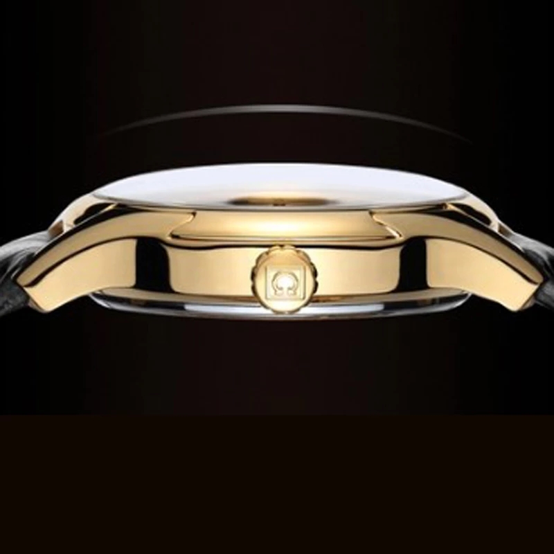 Carnival Brand Luxury Watches  - огляд і ціна Luxury Watch Winder